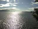 ./images/koeye/fitz-hugh/20200824/fitz-hugh20200824_165002.jpg