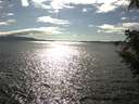 ./images/koeye/fitz-hugh/20200824/fitz-hugh20200824_165502.jpg
