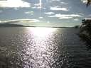 ./images/koeye/fitz-hugh/20200824/fitz-hugh20200824_170501.jpg