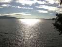 ./images/koeye/fitz-hugh/20200824/fitz-hugh20200824_171001.jpg