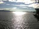 ./images/koeye/fitz-hugh/20200824/fitz-hugh20200824_171501.jpg