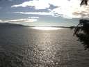 ./images/koeye/fitz-hugh/20200824/fitz-hugh20200824_172001.jpg