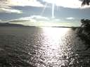 ./images/koeye/fitz-hugh/20200824/fitz-hugh20200824_174501.jpg