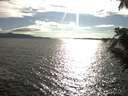 ./images/koeye/fitz-hugh/20200824/fitz-hugh20200824_175001.jpg