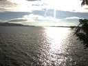 ./images/koeye/fitz-hugh/20200824/fitz-hugh20200824_175501.jpg