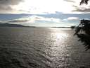 ./images/koeye/fitz-hugh/20200824/fitz-hugh20200824_180001.jpg