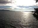 ./images/koeye/fitz-hugh/20200824/fitz-hugh20200824_180501.jpg