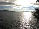 ./images/koeye/fitz-hugh/20200824/fitz-hugh20200824_181001.jpg