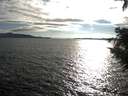 ./images/koeye/fitz-hugh/20200824/fitz-hugh20200824_182001.jpg