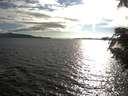 ./images/koeye/fitz-hugh/20200824/fitz-hugh20200824_182501.jpg
