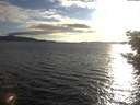 ./images/koeye/fitz-hugh/20200824/fitz-hugh20200824_190502.jpg