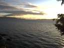 ./images/koeye/fitz-hugh/20200824/fitz-hugh20200824_201001.jpg