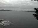 ./images/koeye/fitz-hugh/20200825/fitz-hugh20200825_055501.jpg