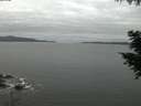 ./images/koeye/fitz-hugh/20200825/fitz-hugh20200825_060002.jpg