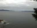 ./images/koeye/fitz-hugh/20200825/fitz-hugh20200825_060502.jpg