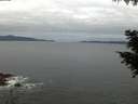 ./images/koeye/fitz-hugh/20200825/fitz-hugh20200825_061001.jpg