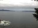 ./images/koeye/fitz-hugh/20200825/fitz-hugh20200825_061501.jpg