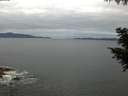 ./images/koeye/fitz-hugh/20200825/fitz-hugh20200825_062001.jpg
