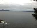 ./images/koeye/fitz-hugh/20200825/fitz-hugh20200825_062501.jpg