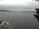 ./images/koeye/fitz-hugh/20200825/fitz-hugh20200825_063502.jpg
