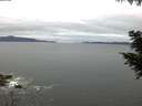 ./images/koeye/fitz-hugh/20200825/fitz-hugh20200825_064502.jpg