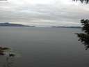 ./images/koeye/fitz-hugh/20200825/fitz-hugh20200825_065002.jpg