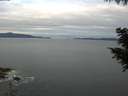 ./images/koeye/fitz-hugh/20200825/fitz-hugh20200825_070502.jpg