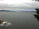 ./images/koeye/fitz-hugh/20200825/fitz-hugh20200825_071002.jpg