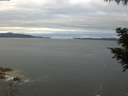 ./images/koeye/fitz-hugh/20200825/fitz-hugh20200825_072002.jpg