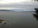 ./images/koeye/fitz-hugh/20200825/fitz-hugh20200825_072502.jpg