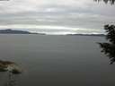 ./images/koeye/fitz-hugh/20200825/fitz-hugh20200825_075501.jpg