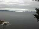 ./images/koeye/fitz-hugh/20200825/fitz-hugh20200825_080001.jpg