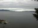 ./images/koeye/fitz-hugh/20200825/fitz-hugh20200825_080501.jpg