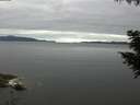 ./images/koeye/fitz-hugh/20200825/fitz-hugh20200825_081001.jpg
