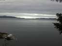 ./images/koeye/fitz-hugh/20200825/fitz-hugh20200825_082001.jpg