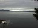 ./images/koeye/fitz-hugh/20200825/fitz-hugh20200825_082501.jpg