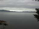./images/koeye/fitz-hugh/20200825/fitz-hugh20200825_083501.jpg