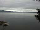 ./images/koeye/fitz-hugh/20200825/fitz-hugh20200825_084001.jpg