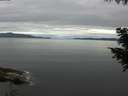 ./images/koeye/fitz-hugh/20200825/fitz-hugh20200825_085501.jpg
