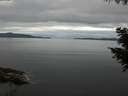 ./images/koeye/fitz-hugh/20200825/fitz-hugh20200825_090501.jpg