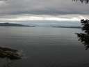 ./images/koeye/fitz-hugh/20200825/fitz-hugh20200825_091001.jpg