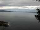 ./images/koeye/fitz-hugh/20200825/fitz-hugh20200825_091501.jpg