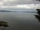 ./images/koeye/fitz-hugh/20200825/fitz-hugh20200825_092501.jpg