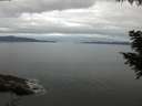 ./images/koeye/fitz-hugh/20200825/fitz-hugh20200825_093502.jpg