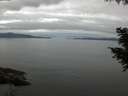 ./images/koeye/fitz-hugh/20200825/fitz-hugh20200825_094001.jpg
