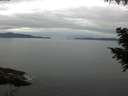 ./images/koeye/fitz-hugh/20200825/fitz-hugh20200825_095002.jpg