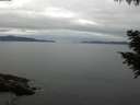 ./images/koeye/fitz-hugh/20200825/fitz-hugh20200825_095502.jpg