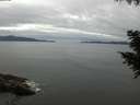 ./images/koeye/fitz-hugh/20200825/fitz-hugh20200825_101002.jpg
