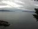 ./images/koeye/fitz-hugh/20200825/fitz-hugh20200825_102002.jpg