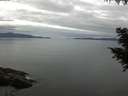 ./images/koeye/fitz-hugh/20200825/fitz-hugh20200825_104002.jpg